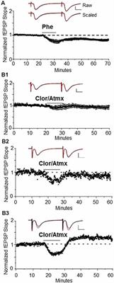 Alpha1-Adrenergic Receptor Mediated Long-Term Depression at CA3-CA1 Synapses Can Be Induced via Accumulation of Endogenous Norepinephrine and Is Preserved Following Noradrenergic Denervation